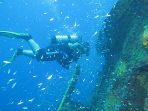 person scuba diving